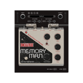 EHX Deluxe Memory Man